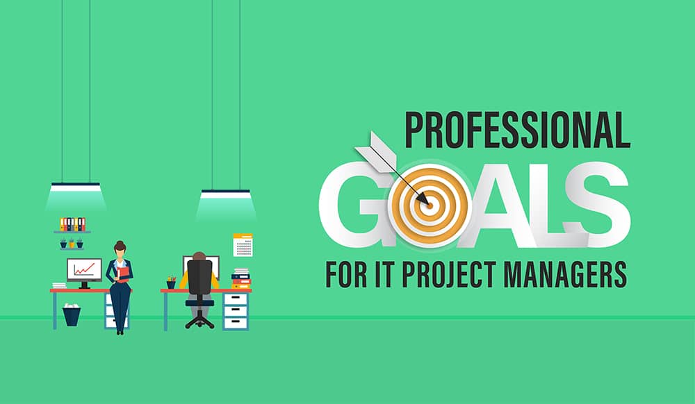 8 Examples of Professional Goals For IT project