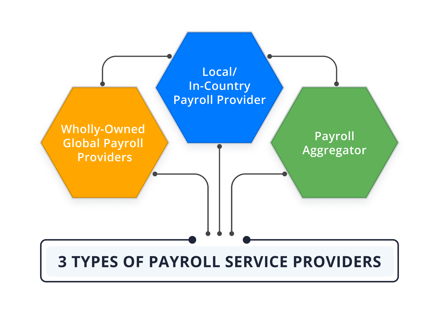 Types of Payroll Providers